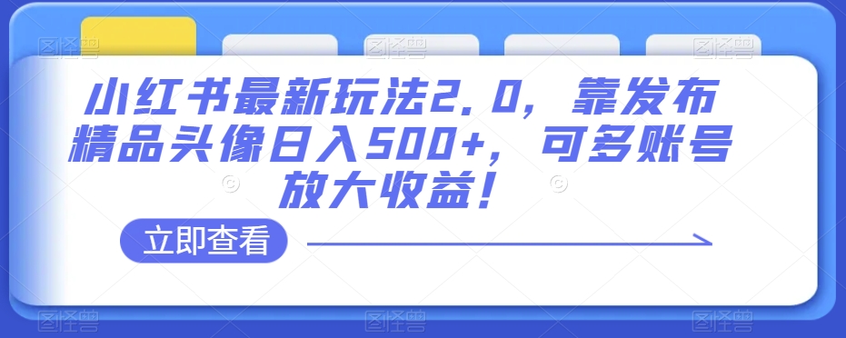小红书最新玩法2.0，靠发布精品头像日入500+，可多账号放大收益！【揭秘】-易购网创