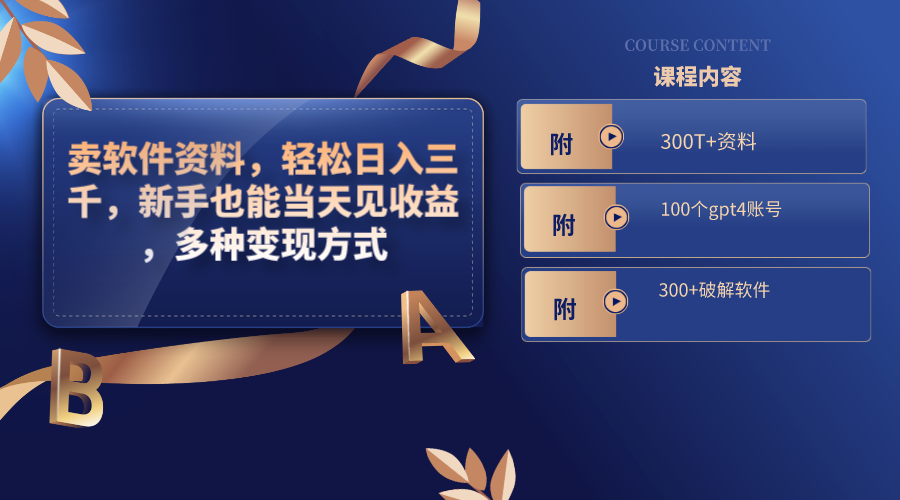 卖软件资料，轻松日入三千，新手也能当天见收益，多种变现方式，（附300…-易购网创