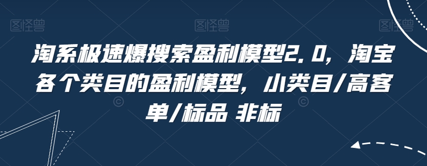 淘系极速爆搜索盈利模型2.0，淘宝各个类目的盈利模型，小类目/高客单/标品 非标-易购网创