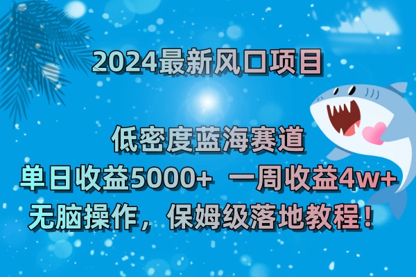 2024最新风口项目 低密度蓝海赛道，日收益5000+周收益4w+ 无脑操作，保…-易购网创