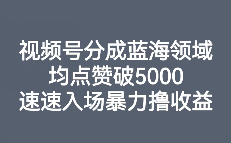 视频号分成蓝海领域，均点赞破5000，速速入场暴力撸收益-易购网创