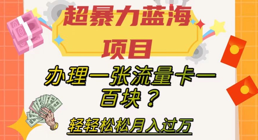 超暴力蓝海项目，办理一张流量卡一百块？轻轻松松月入过万，保姆级教程【揭秘】-易购网创