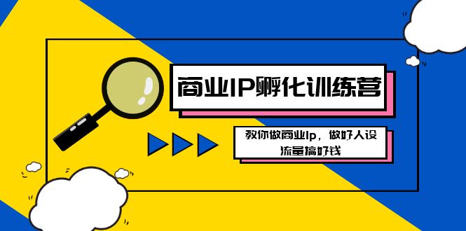 商业IP-孵化训练营新版，教你做商业Ip，做好人设，流量搞好钱-易购网创