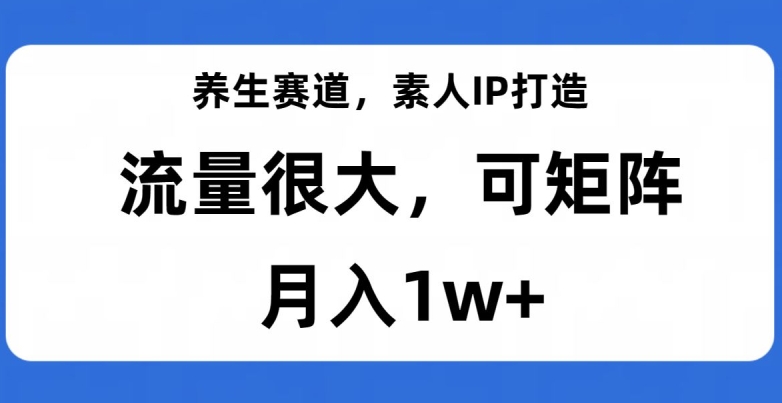 养生赛道，素人IP打造，流量很大，可矩阵，月入1w+【揭秘】-易购网创