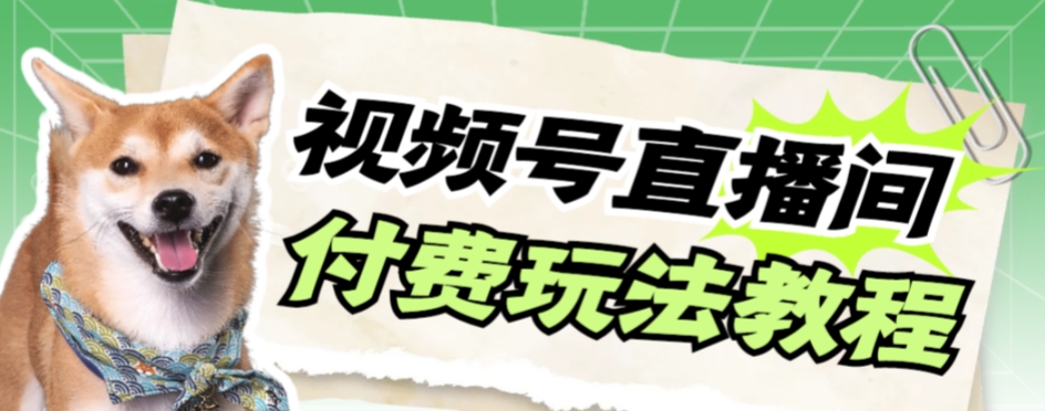 视频号美女付费无人直播，轻松日入500+【详细玩法教程】-易购网创