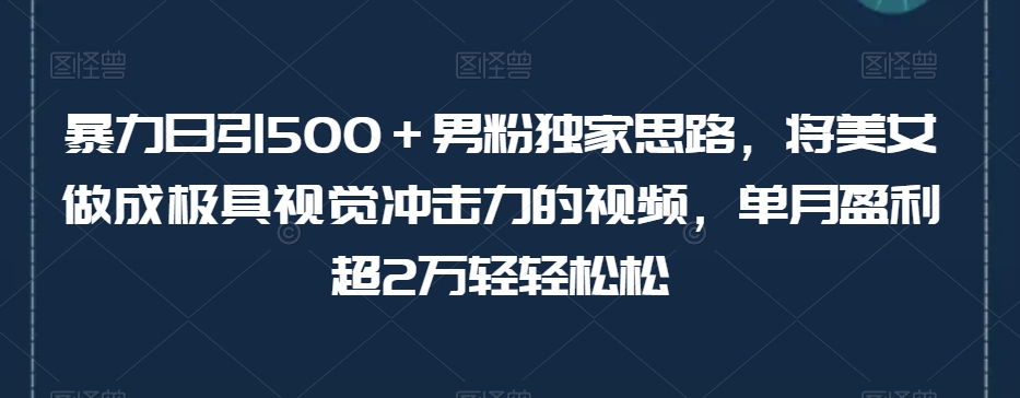 暴力日引500＋男粉独家思路，将美女做成极具视觉冲击力的视频，单月盈利超2万轻轻松松-易购网创