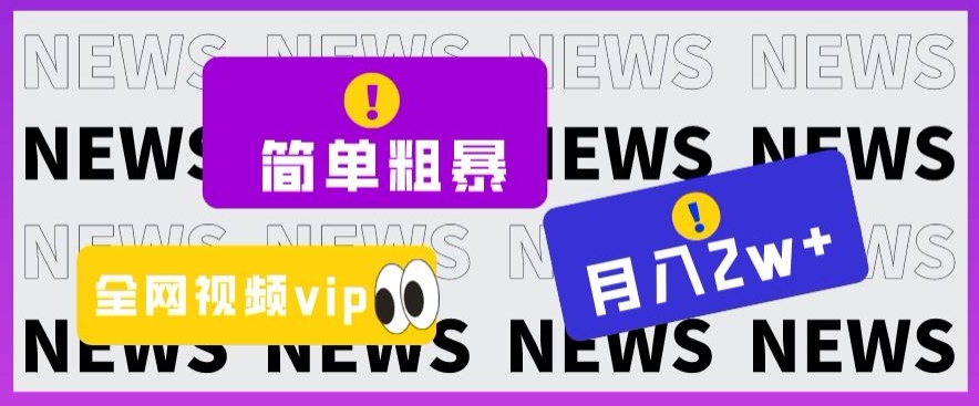 简单粗暴零成本，高回报，全网视频VIP掘金项目，月入2万＋【揭秘】-易购网创