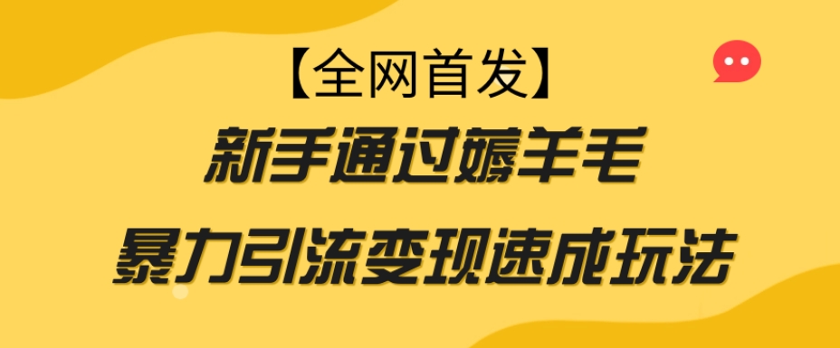 【全网首发】新手通过薅羊毛暴力引流变现速成玩法-易购网创