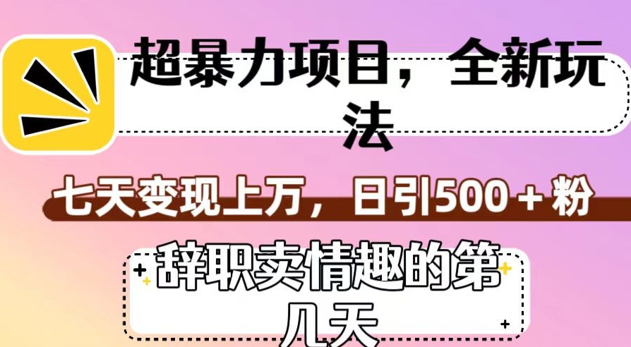 超暴利项目，全新玩法（辞职卖情趣的第几天），七天变现上万，日引500+粉【揭秘】-易购网创