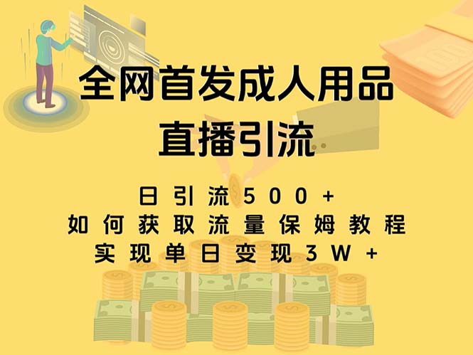 最新全网独创首发，成人用品直播引流获客暴力玩法，单日变现3w保姆级教程-易购网创