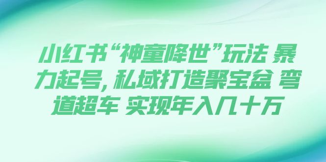 （7673期）小红书“神童降世”玩法 暴力起号,私域打造聚宝盆 弯道超车 实现年入几十万-易购网创