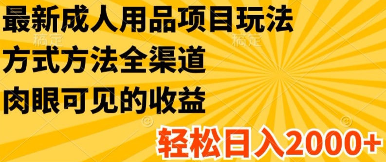 最新成人用品项目玩法，方式方法全渠道，轻松日入2K+-易购网创