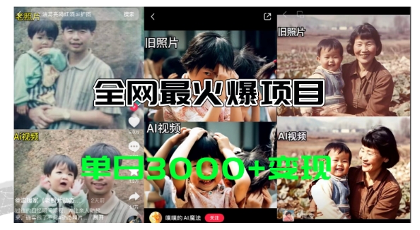 全网爆火的AI让老照片动起来教程，蹭热点日赚3k+，内含免费工具一键可生成-易购网创