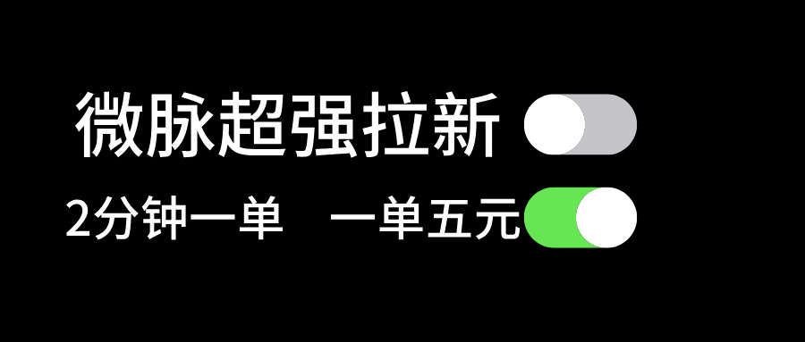 微脉超强拉新， 两分钟1单， 一单利润5块，适合小白-易购网创