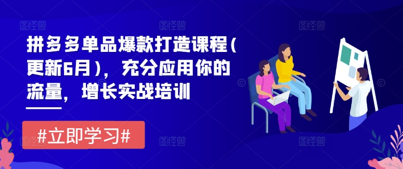 拼多多单品爆款打造课程(更新6月)，充分应用你的流量，增长实战培训-易购网创