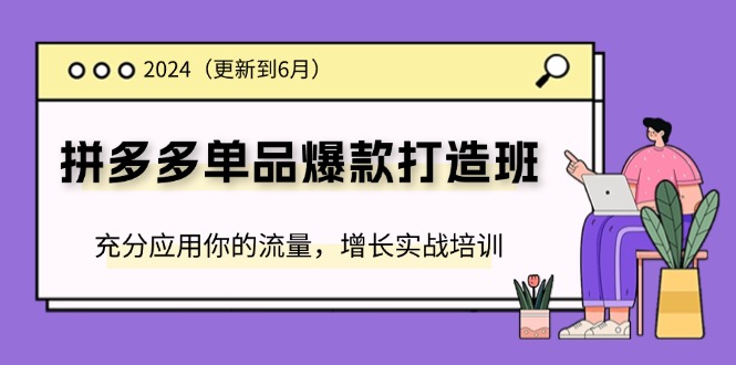 2024拼多多-单品爆款打造班(更新6月)，充分应用你的流量，增长实战培训-易购网创