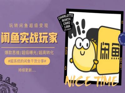 手把手教你0到1系统玩转闲鱼变现，爆款思维/超级曝光/超高转化-易购网创