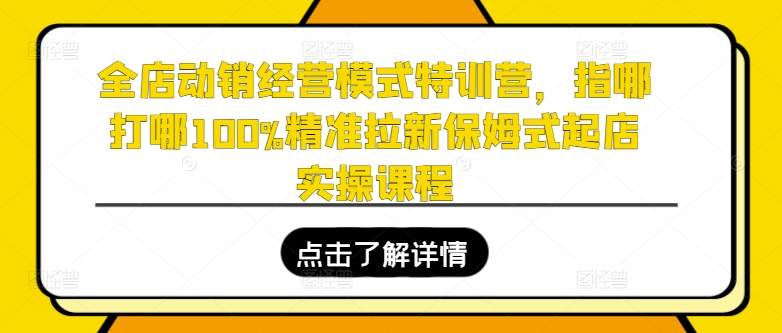 全店动销经营模式特训营，指哪打哪100%精准拉新保姆式起店实操课程-易购网创