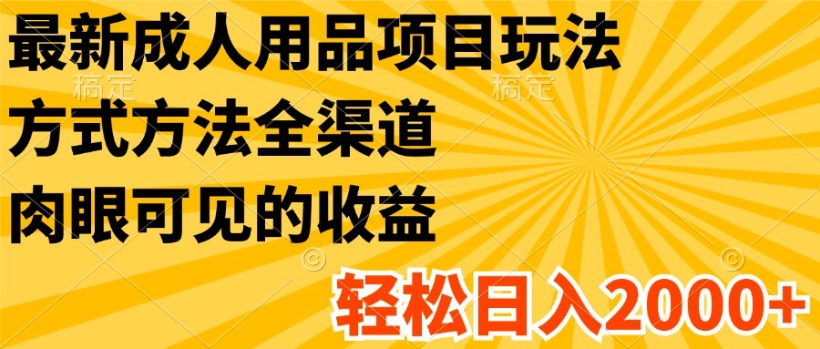 最新成人用品项目玩法，方式方法全渠道，肉眼可见的收益，轻松日入2000+-易购网创