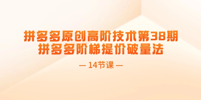 拼多多原创高阶技术第38期，拼多多阶梯提价破量法（14节课）-易购网创