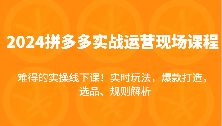 2024拼多多实战运营现场课，实时玩法，爆款打造，选品、规则解析，难得的实操线下课！-易购网创