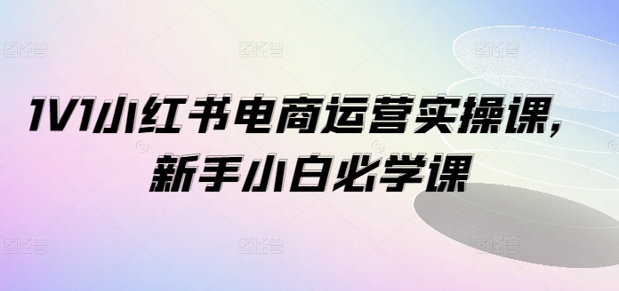 1V1小红书电商运营实操课，新手小白必学课-易购网创