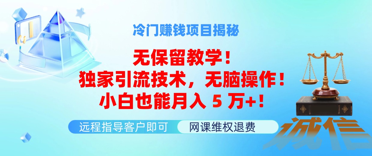 冷门赚钱项目无保留教学！独家引流技术，无脑操作！小白也能月入5万+！-易购网创
