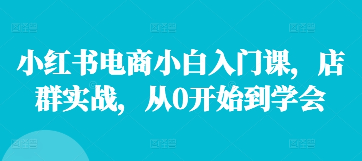 小红书电商小白入门课，店群实战，从0开始到学会-易购网创