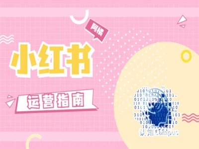 小红书运营指南，没有套路，全是经验-易购网创
