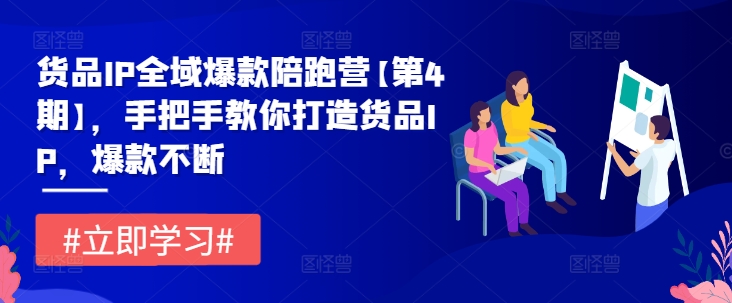 货品IP全域爆款陪跑营【第4期】，手把手教你打造货品IP，爆款不断-易购网创