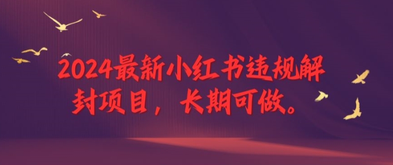 2024最新小红书违规解封项目，长期可做，一个可以做到退休的项目-易购网创