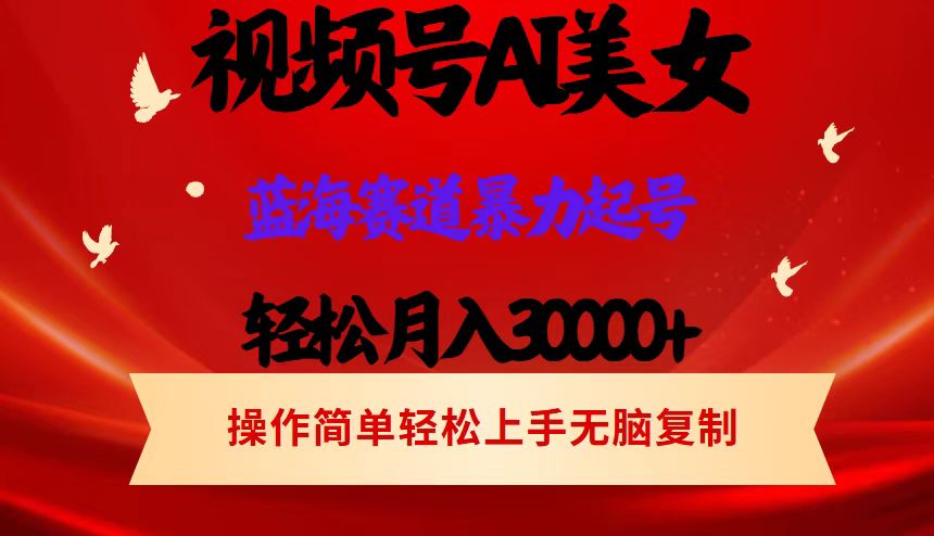 视频号AI美女跳舞，轻松月入30000+，蓝海赛道，流量池巨大，起号猛，当…-易购网创