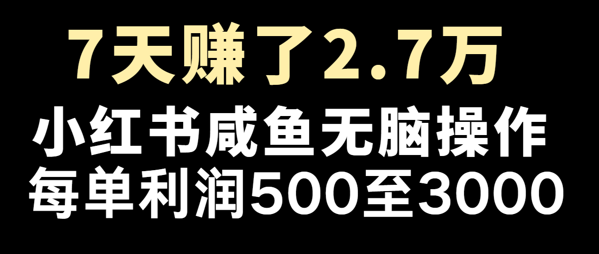 七天赚了2.7万！每单利润最少500+，轻松月入5万+小白有手就行-易购网创