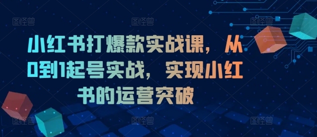 小红书打爆款实战课，从0到1起号实战，实现小红书的运营突破-易购网创