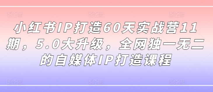 小红书IP打造60天实战营11期，5.0大升级，全网独一无二的自媒体IP打造课程-易购网创