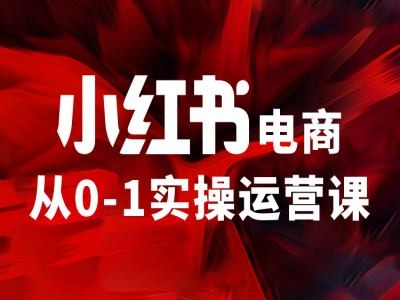 小红书电商从0-1实操运营课，让你从小白到精英-易购网创