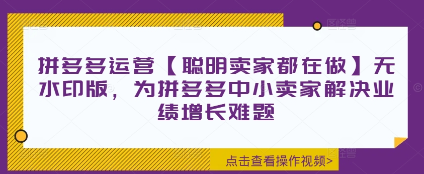 拼多多运营【聪明卖家都在做】无水印版，为拼多多中小卖家解决业绩增长难题-易购网创