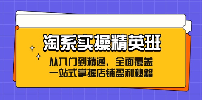 淘系实操精英班：从入门到精通，全面覆盖，一站式掌握店铺盈利秘籍-易购网创