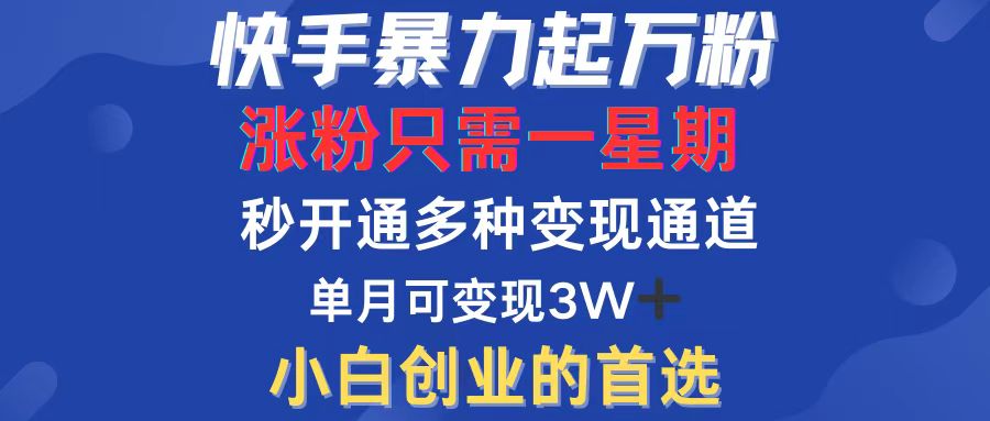 快手暴力起万粉，涨粉只需一星期，多种变现模式，直接秒开万合，小白创…-易购网创