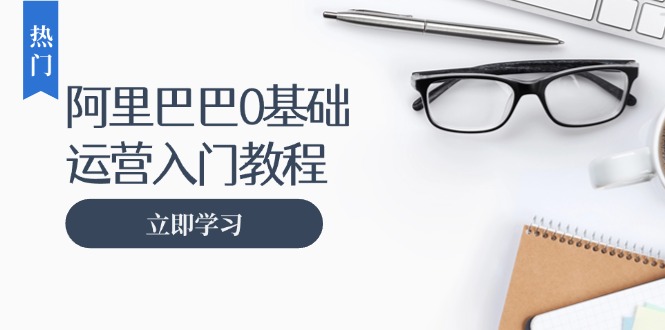 阿里巴巴运营零基础入门教程：涵盖开店、运营、推广，快速成为电商高手-易购网创