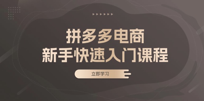 拼多多电商新手快速入门课程：涵盖基础、实战与选款，助力小白轻松上手-易购网创