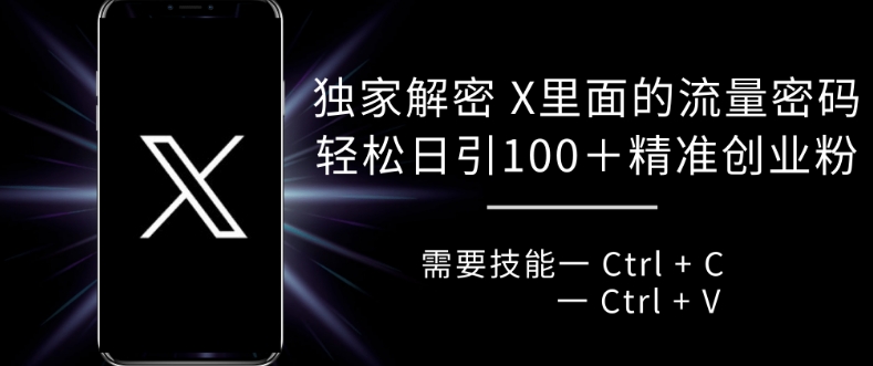 独家解密 X 里面的流量密码，复制粘贴轻松日引100+-易购网创