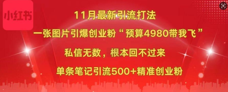 小红书11月最新图片打粉，一张图片引爆创业粉，“预算4980带我飞”，单条引流500+精准创业粉-易购网创