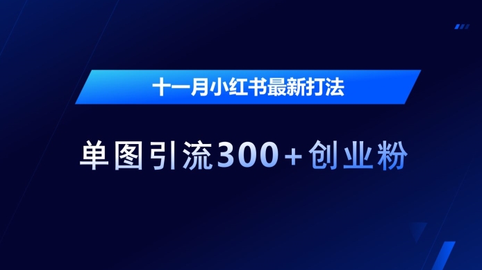 十一月小红书最新打法，单图引流300+创业粉-易购网创