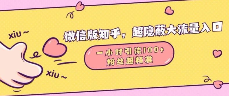 微信版知乎，超隐蔽流量入口1小时引流100人，粉丝质量超高-易购网创
